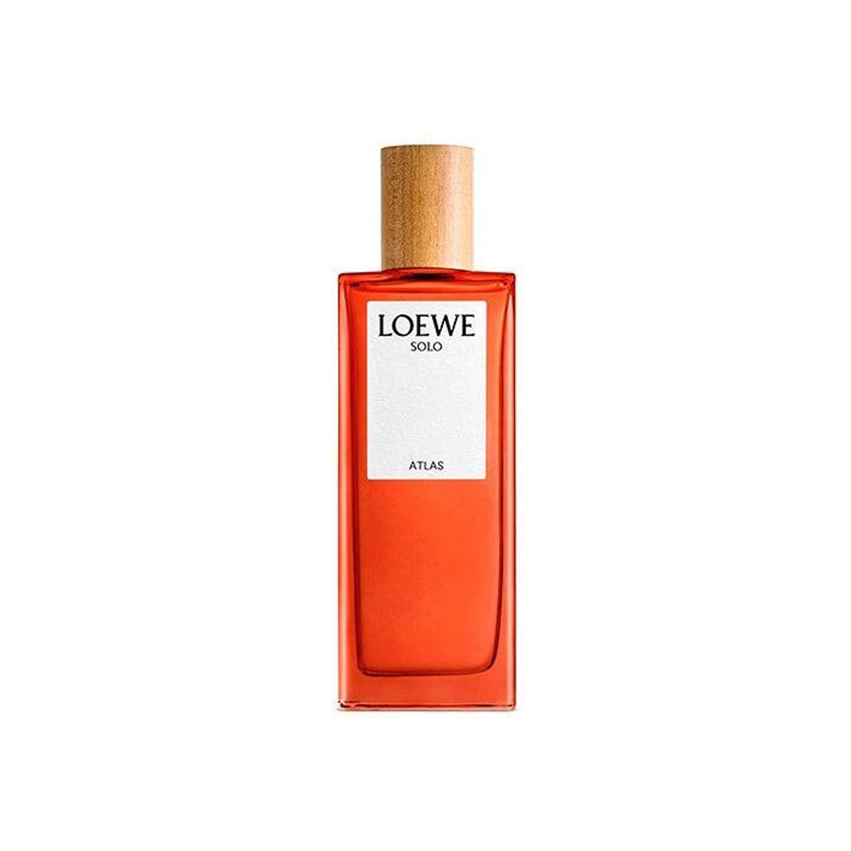Loewe Men's Solo Atlas Edp 100ML